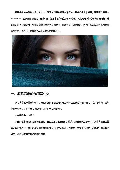 葡萄籽还可以清除衰老细胞？葡萄籽为你揭秘