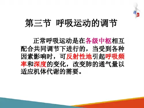 呼吸 呼吸运动的调节 生理学课件