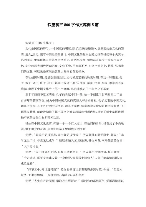 仰望初三800字作文范例5篇