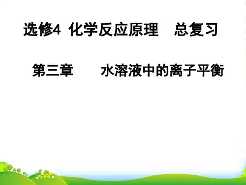 人教版高中化学选修4第三章水溶液中的离子平衡复习课件(共21张PPT)(共21张PPT)