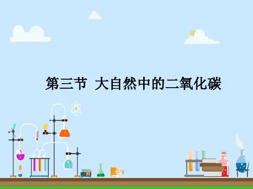 大自然中的二氧化碳 课件
