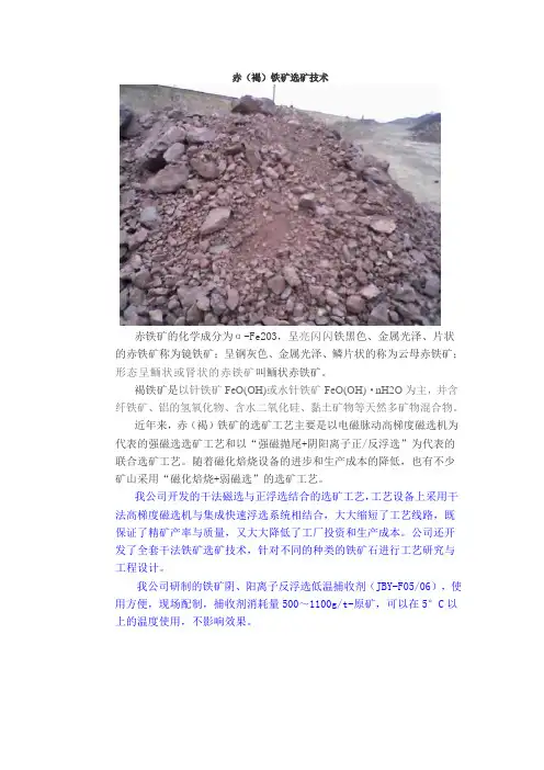 赤(褐)铁矿选矿技术