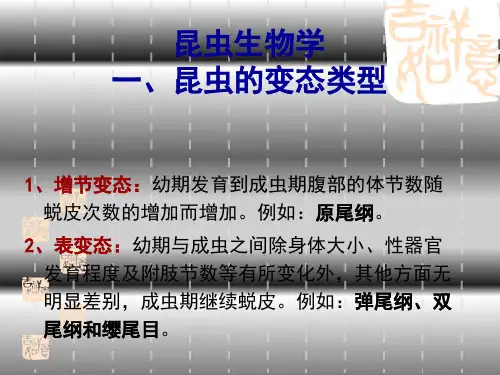 昆虫生物学