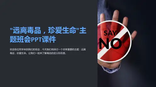 “远离毒品,珍爱生命”主题班会PPT课件