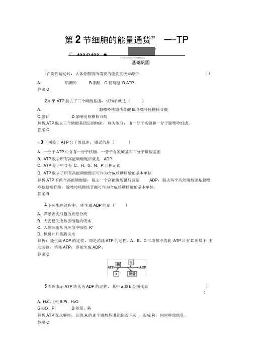 2020秋高中生物人教版必修1练习：5.2细胞的能量“通货”——ATPWord版含解析