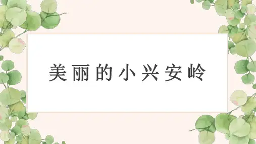 20美丽的小兴安岭   说课课件(共30张PPT)