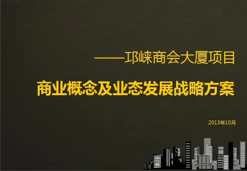 商业项目定位报告
