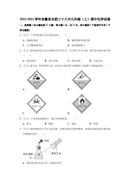 2023-2024学年安徽省合肥三十八中九年级(上)期中化学试卷(含解析)