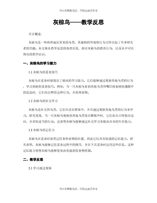 灰椋鸟——教学反思