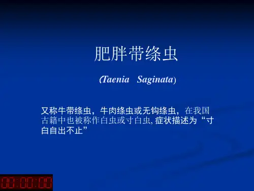 牛带绦虫