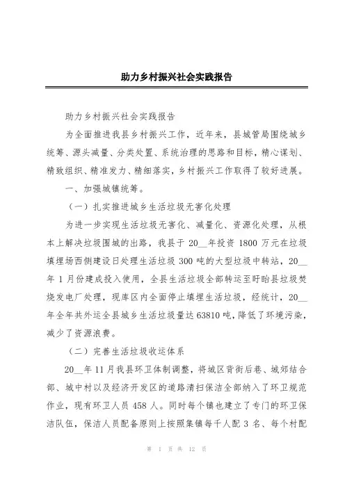 助力乡村振兴社会实践报告