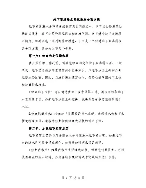 地下室渗漏水补救措施专项方案（2篇）