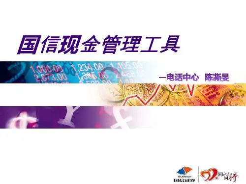 国信现金管理工具