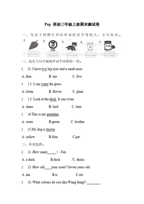 期末 (试题) -2024-2025学年人教PEP版(2024)英语三年级上册(含答案)