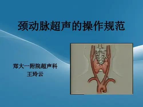 颈动脉超声规范化操作