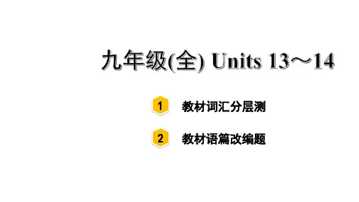 中考英语总复习单词词汇分册分层测验初中人教版教材九年级(全)Units 13~14