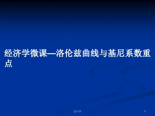 经济学微课—洛伦兹曲线与基尼系数重点PPT教案