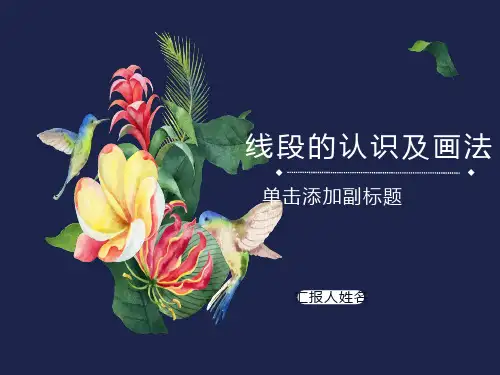 人教版小学二年级数学上册线段的认识及画法