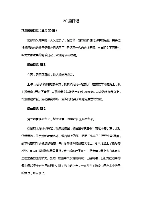 20篇日记