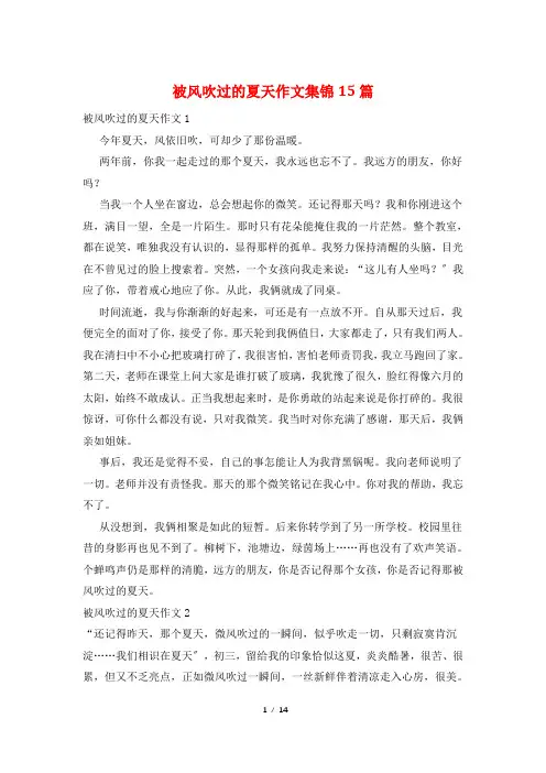 被风吹过的夏天作文集锦15篇