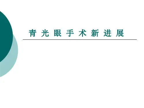 青光眼手术新进展ppt课件