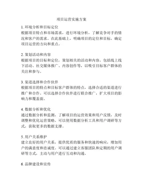 项目运营实施方案