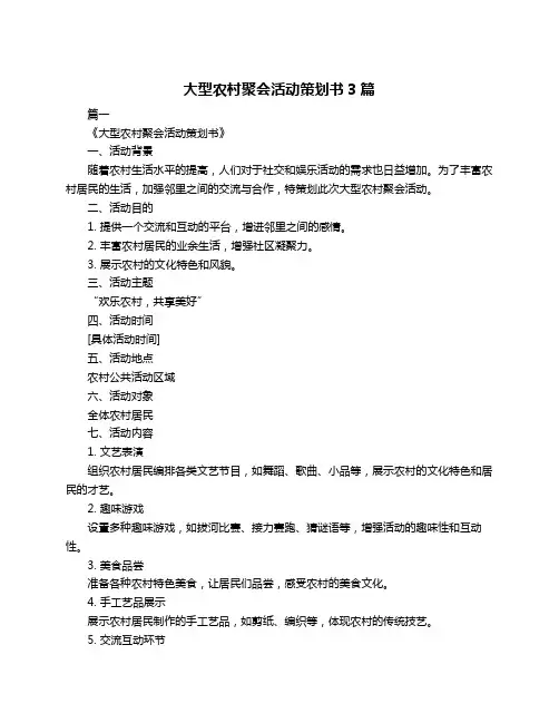 大型农村聚会活动策划书3篇