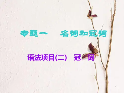 2019版高考英语一轮复习 语法专项 专题一 名词和冠词 语法项目(二)冠词课件 北师大版.pptx