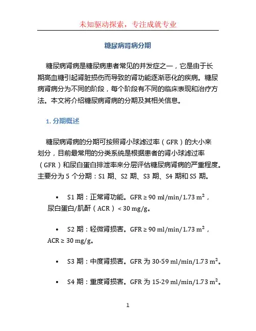 糖尿病肾病分期 (2)