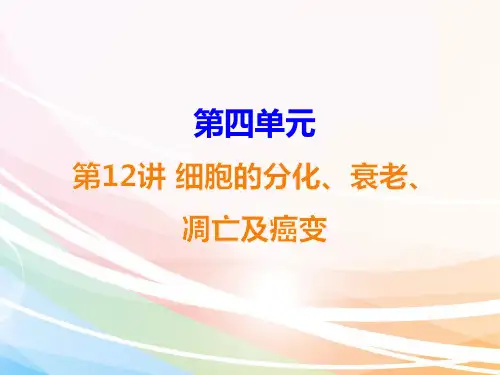 高三生物一轮复习精品课件3：第12讲 细胞的分化、衰老、凋亡及癌变