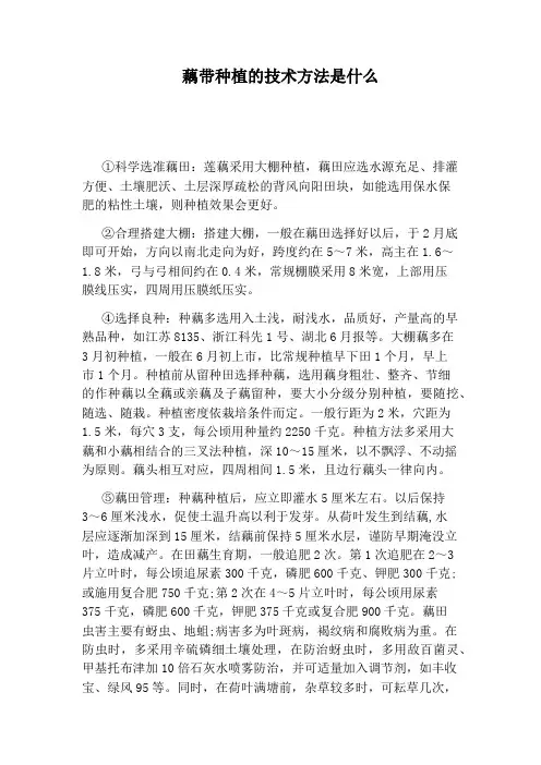藕带种植的技术方法是什么