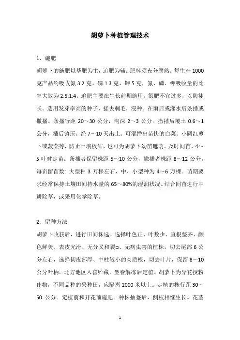 胡萝卜种植管理技术