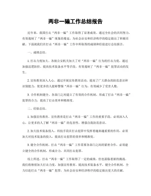 两非一骗工作总结报告
