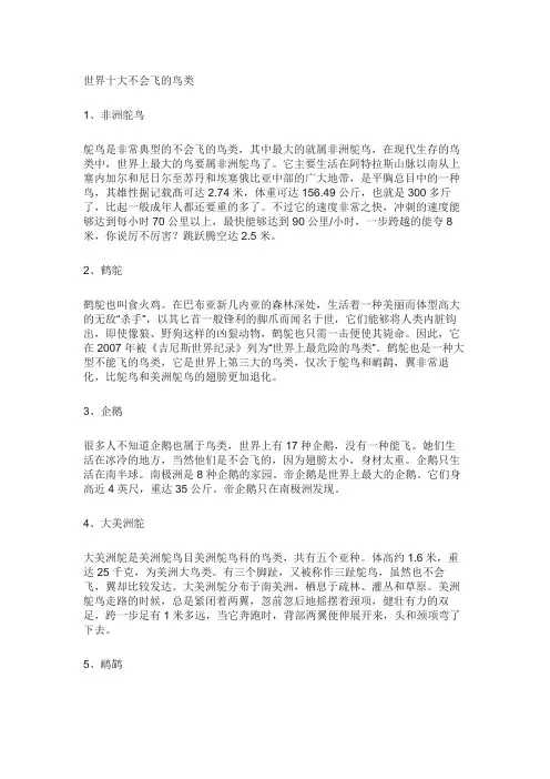 十种不会飞的鸟