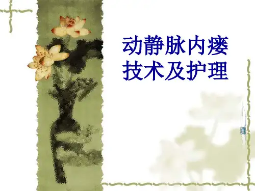 动静脉内瘘及并发症护理