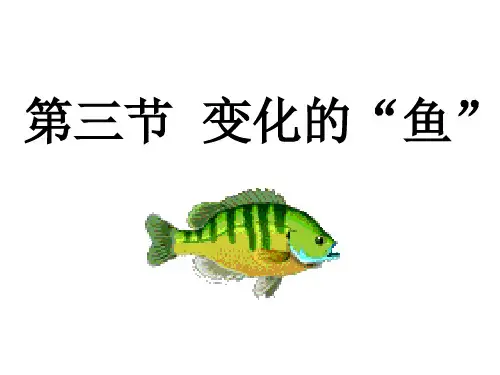 初中数学变化的鱼优秀课件