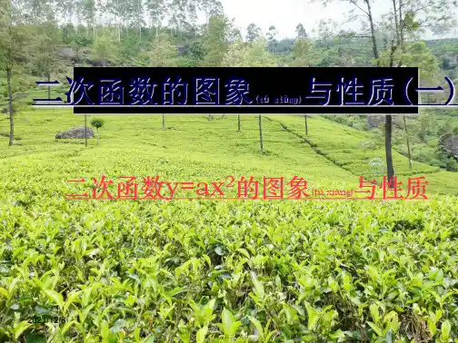 中考数学复习 二次函数 二次函数的图象与性质(第1课时)课件初中九年级全册数学课件