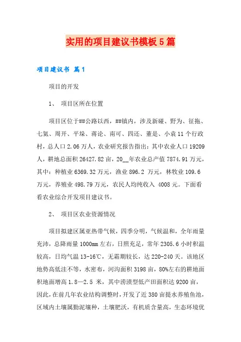 实用的项目建议书模板5篇