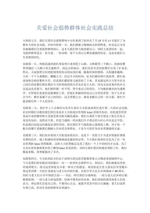 总结报告-关爱社会弱势群体社会实践总结 精品