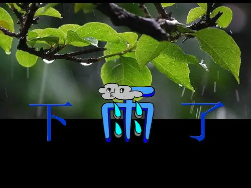 6、下雨了PPT课件