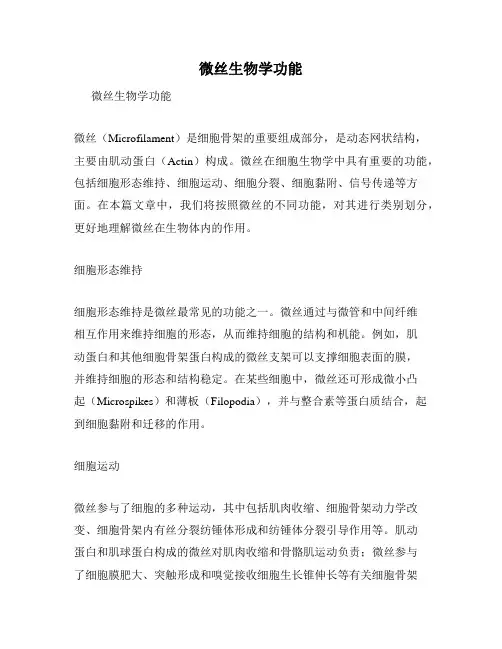 微丝生物学功能