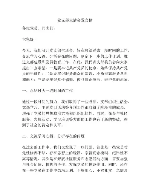 党支部生活会发言稿