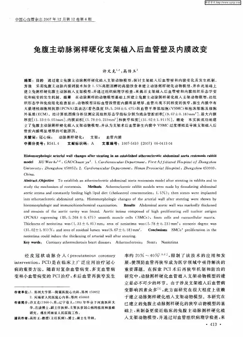 兔腹主动脉粥样硬化支架植入后血管壁及内膜改变
