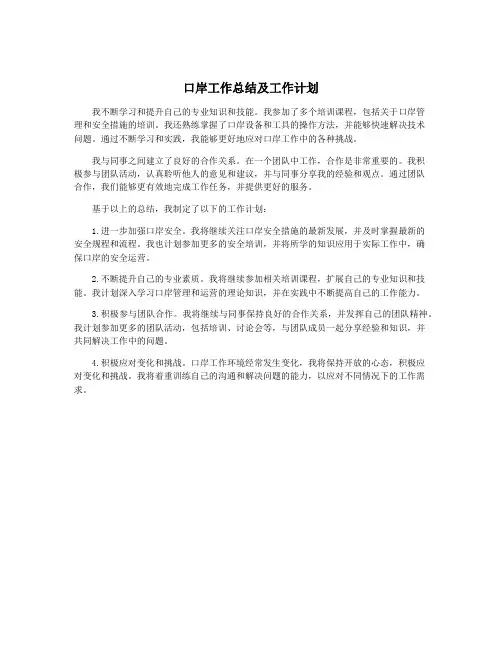 口岸工作总结及工作计划