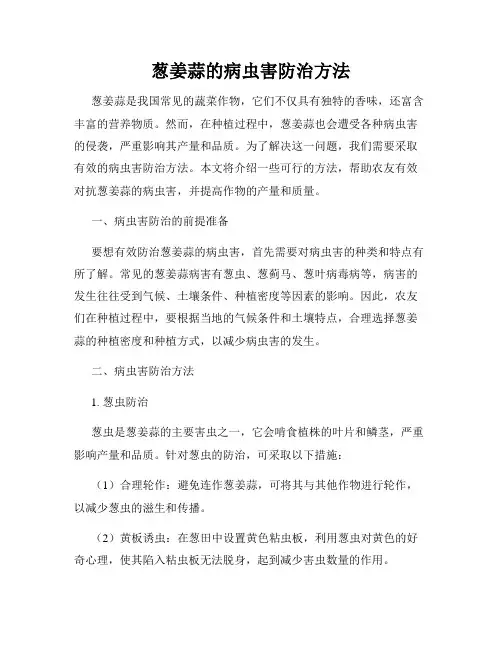 葱姜蒜的病虫害防治方法