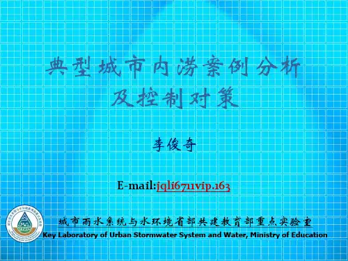 典型城市内涝事件及其控制对策分析-精选文档