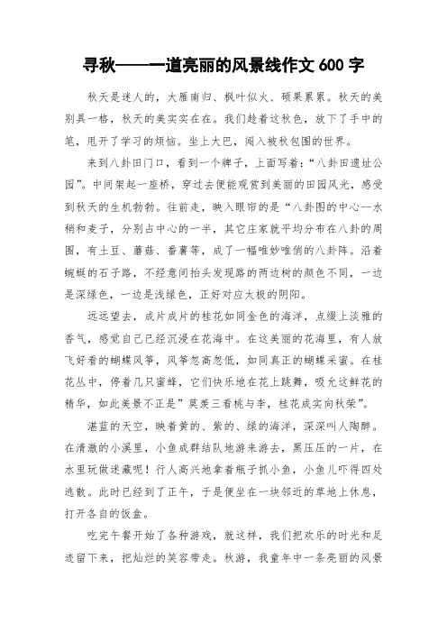 寻秋——一道亮丽的风景线作文600字_作文