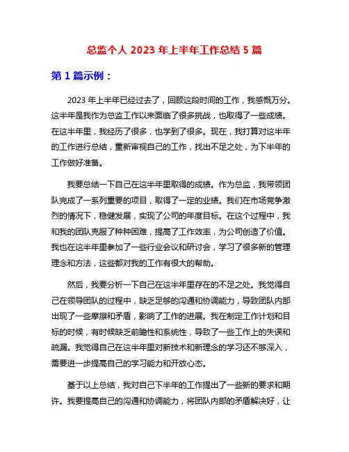总监个人2023年上半年工作总结5篇