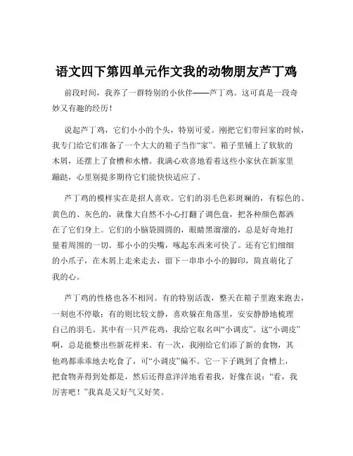 语文四下第四单元作文我的动物朋友芦丁鸡
