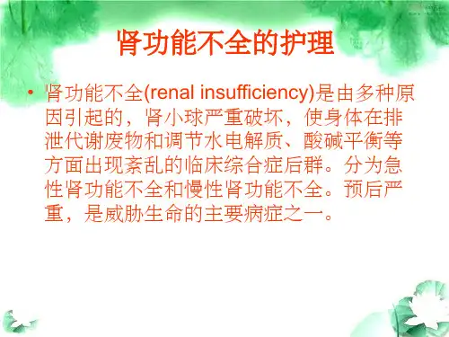 肾功能不全的护理诊断及措施